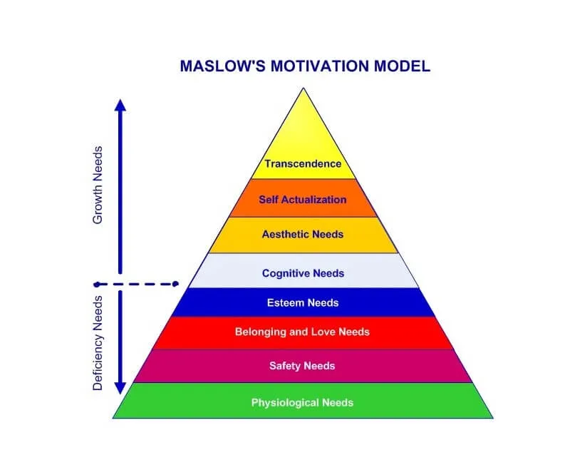 5 levels in Maslow's hierarchy of needs​