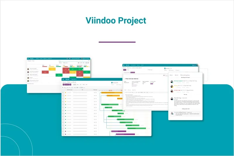 Viindoo Project - cross-departmental collaboration