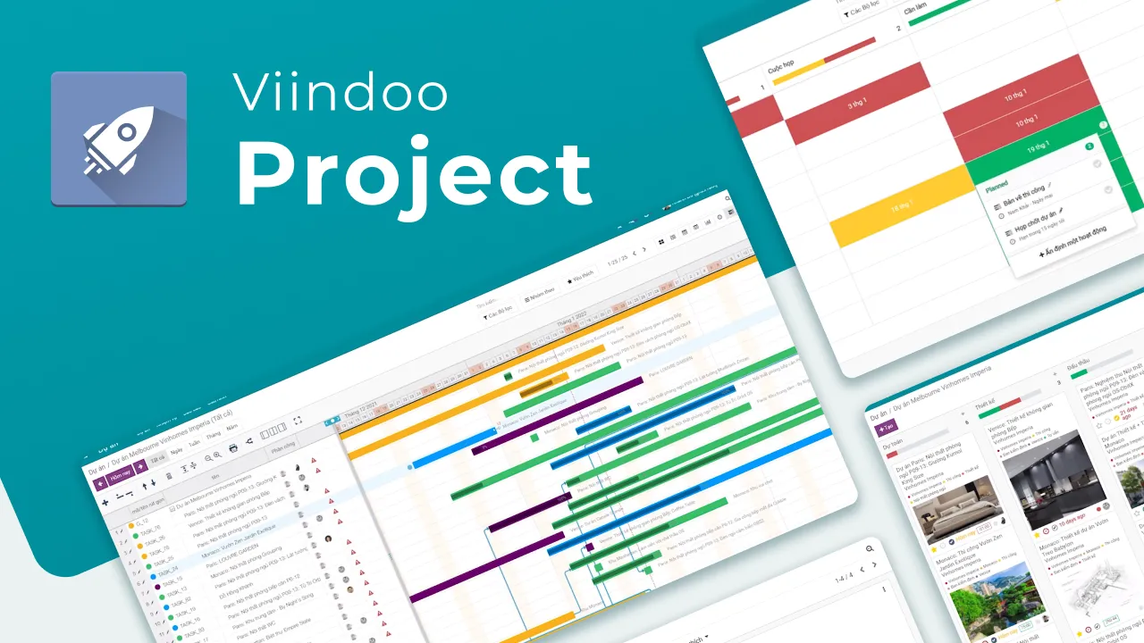 Viindoo Project software