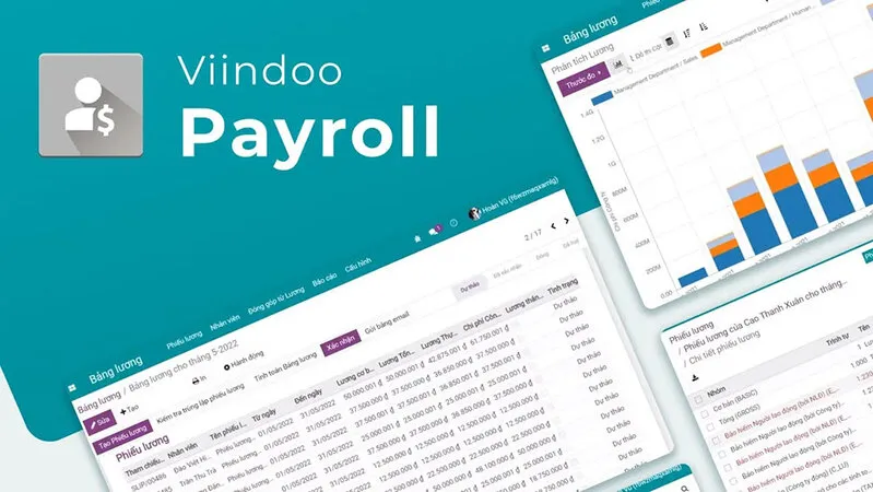 Viindoo Payroll - Automated Salary Calculation