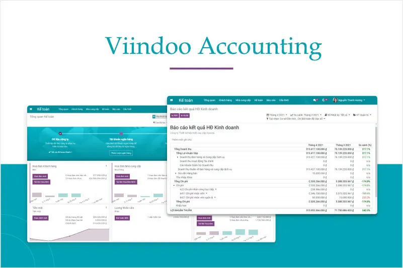 Viindoo provides a comprehensive picture of the corporate financial situation