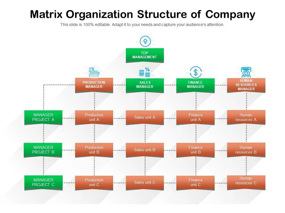 Matrix model