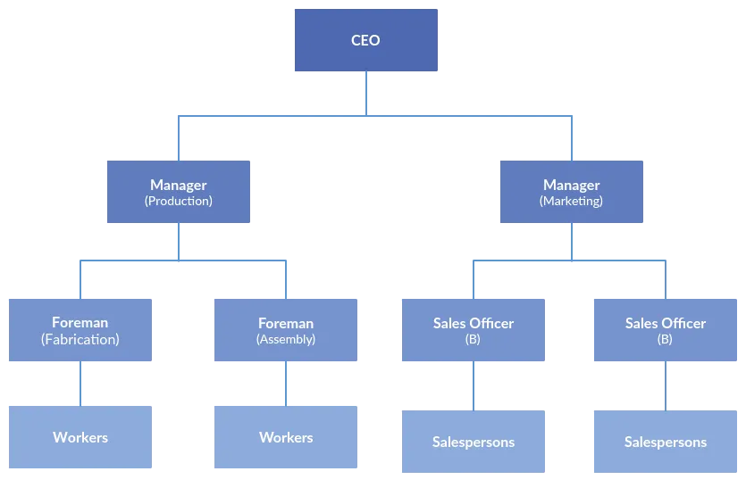 Organization chart of the limited company