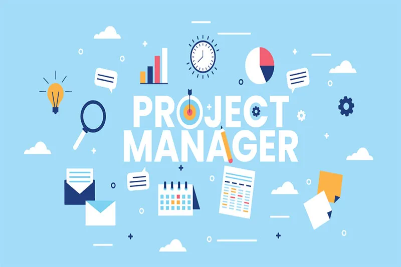 What is a Project Manager