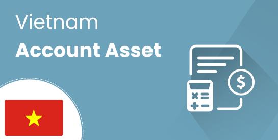 Vietnam - Account Asset